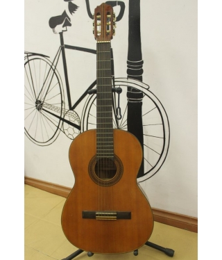 Đàn guitar Zen-on Gut 80